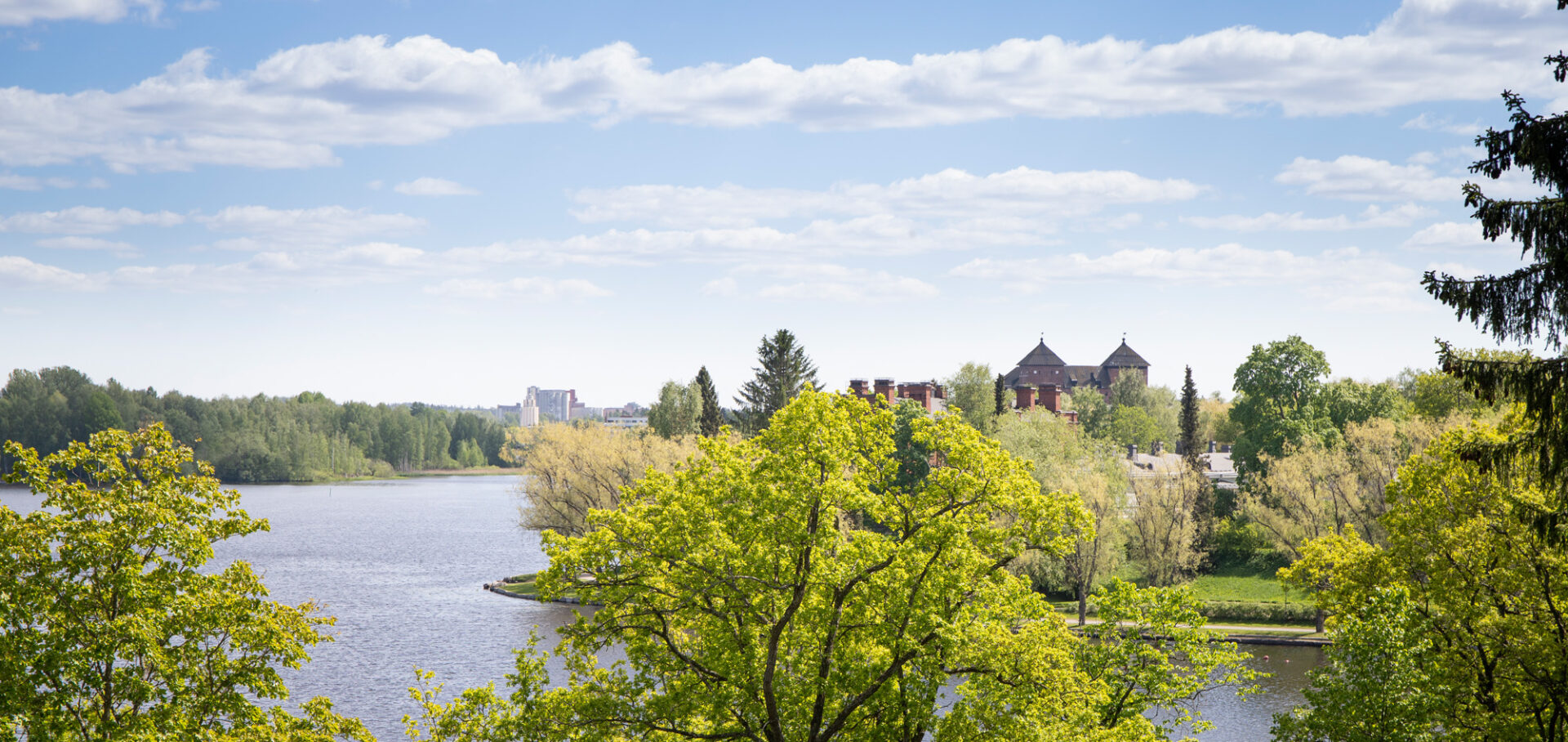Kesäinen järvimaisema