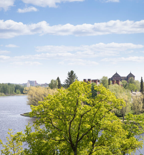 Kesäinen järvimaisema